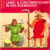 Sonderausstellung 2025 - LAnd- und Forstwirtschaft in der Römerzeit